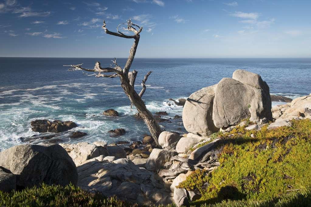 Inn At Spanish Bay Pebble Beach Zewnętrze zdjęcie